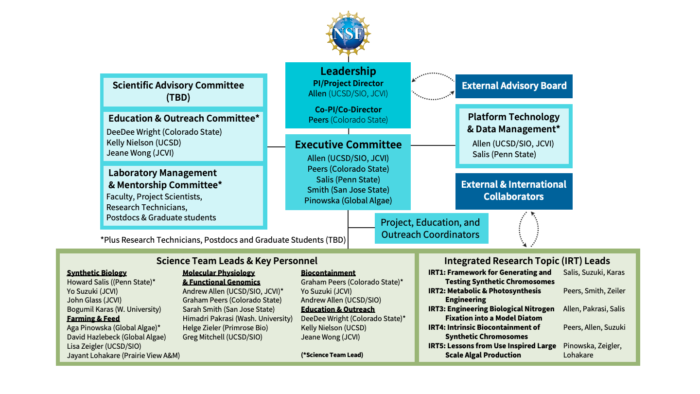 CABDesign Organization Chart